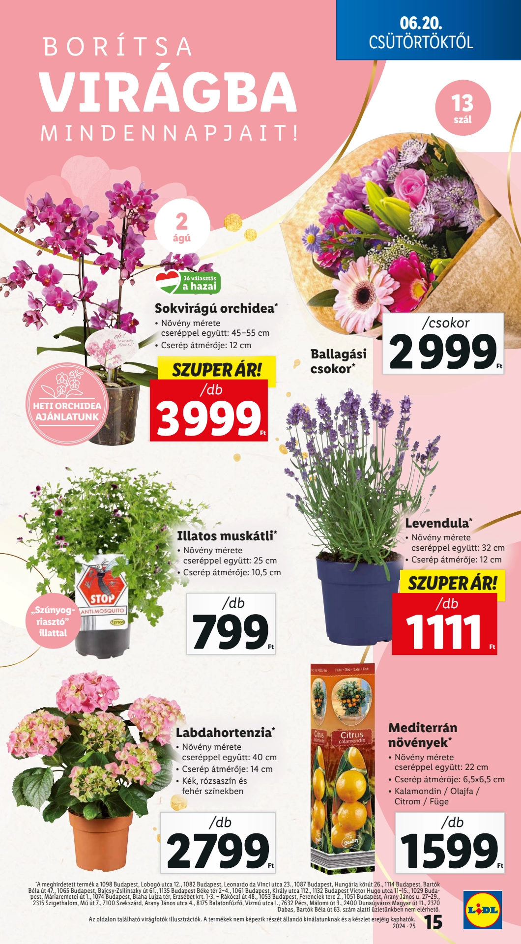 Lapozható Lidl szórólap 2024. 06.20-06.26 - 15. oldal Lapozható Lidl szórólap 2024. 06.20-06.26 - 15. oldal