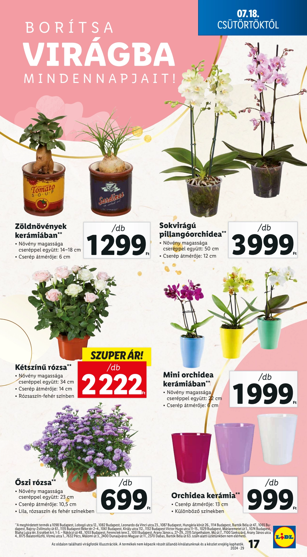 Lapozható Lidl szórólap 2024. 07.18-07.24 - 17. oldal Lapozható Lidl szórólap 2024. 07.18-07.24 - 17. oldal