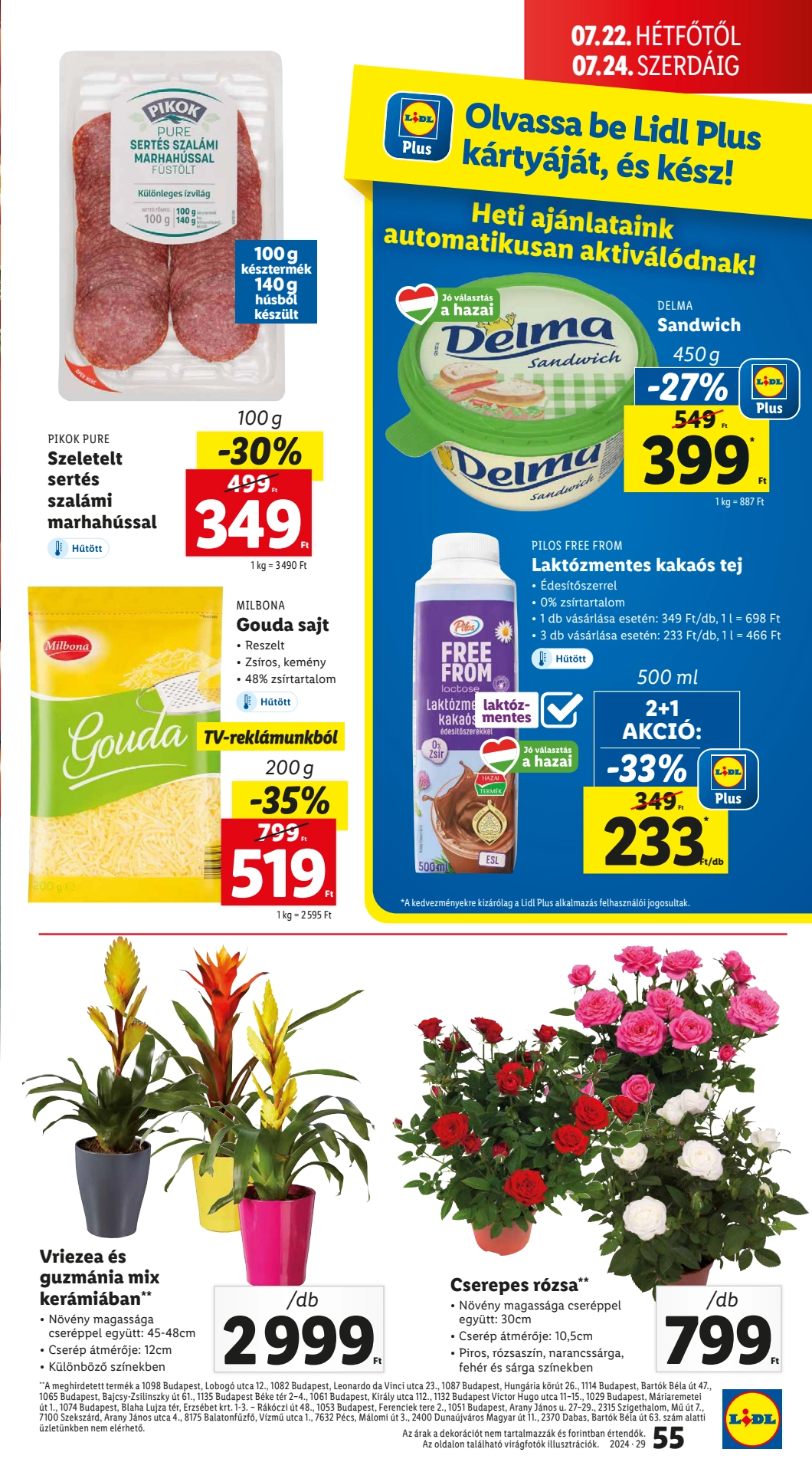 Lapozható Lidl szórólap 2024. 07.18-07.24 - 55. oldal Lapozható Lidl szórólap 2024. 07.18-07.24 - 55. oldal